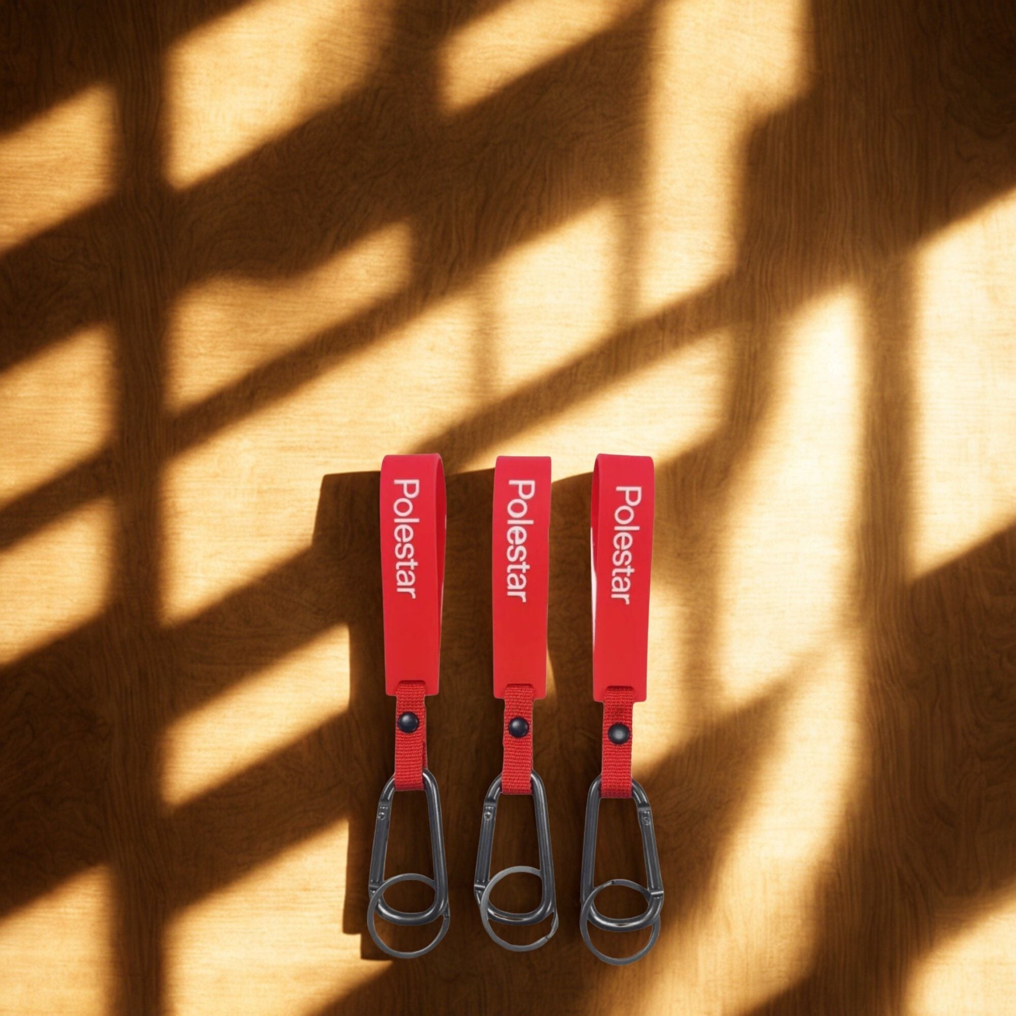 Silicone Keychain With Carabiner Hook