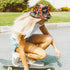 Camo Bucket Hat Double Sides