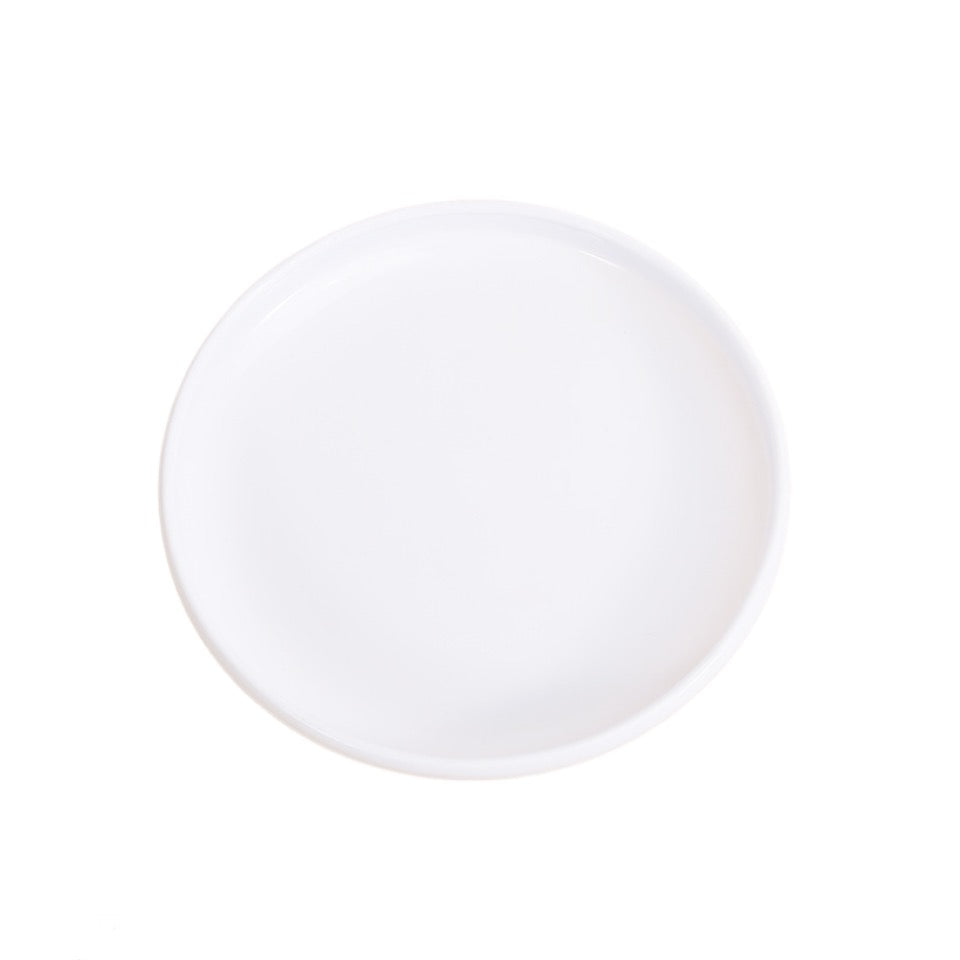 10.6 Inch Flying Disc