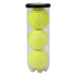 3 - pack Yellow Tennis Balls With Sleeve - Delite Promotional Products
