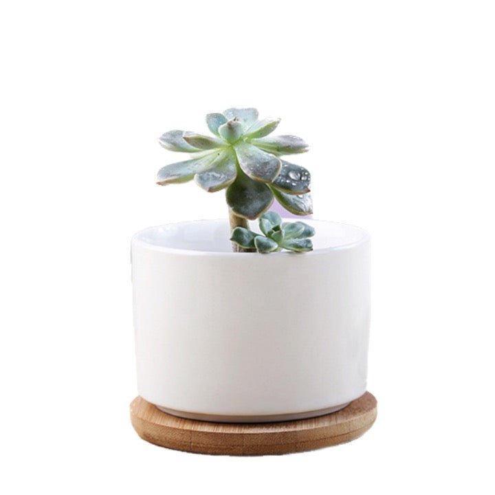 3.5in Dia Ceramic Flower Pot With Bamboo Base - Delite Promotional Products