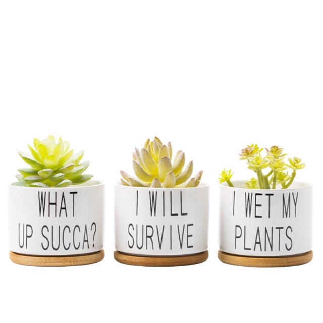3.5in Dia Ceramic Flower Pot With Bamboo Base - Delite Promotional Products