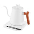 Gooseneck Electric Kettle