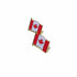 Canadian National Lapel Pin