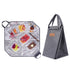 Portable Picnic Mat And Insulated Cooler Bag