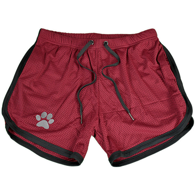 Fitness Slim Fit Sports Shorts