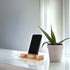 Eco Mobile Stand Amplifier