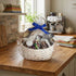 Sweet Harmony Gift Set