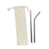 2-in-1 Reusable Steel Straw Kit