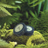 Blue Raspberry Shampoo And Body Soap 110g - Delite Promotional Products