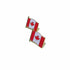 Canadian National Lapel Pin - Delite Promotional Products