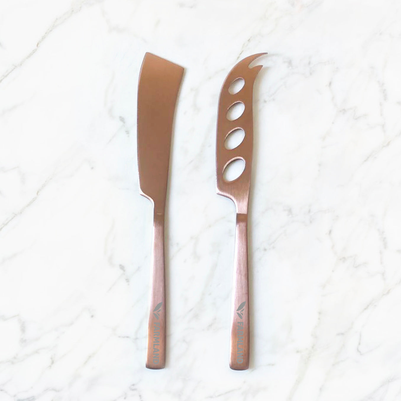 Stainless Steel Cheese Cutter Set (2pcs)