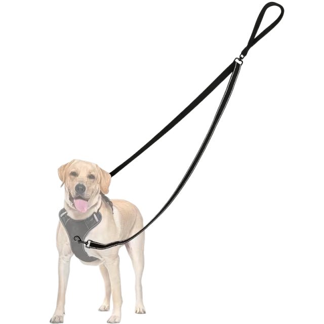 Double Connection Dog Leash - Delite Promotional Products