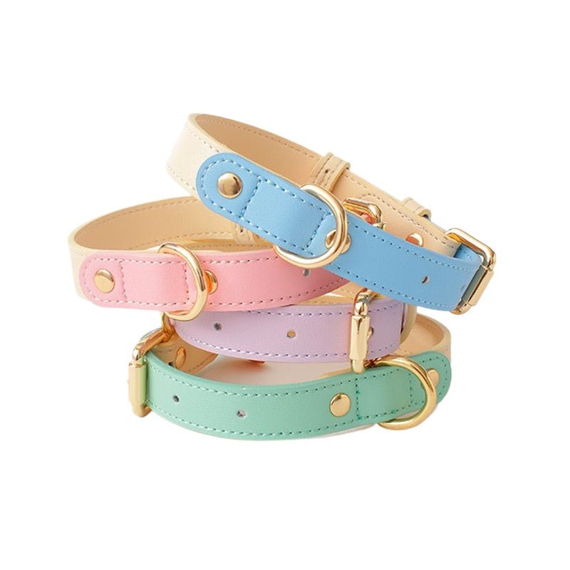 Genuine Leather Pet Collar+cotton Leash - Delite Promotional Products