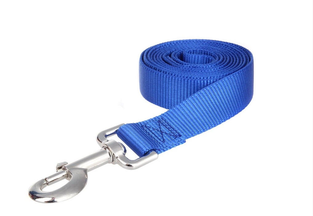 60 pouces de laisse durable en nylon pour chien