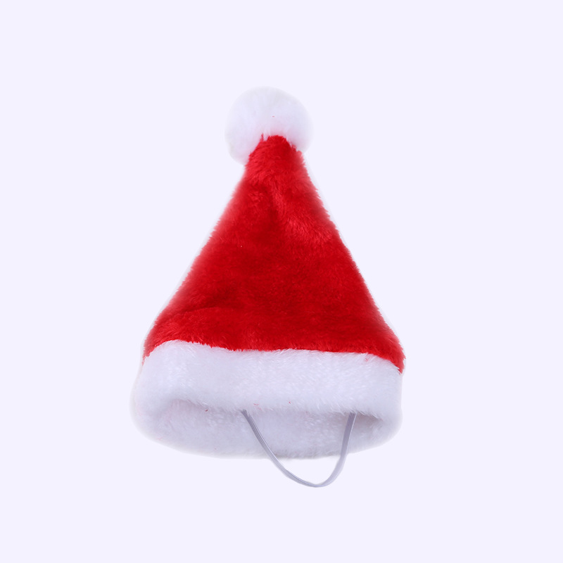 Mascota santa hat