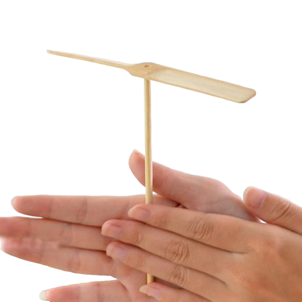Libellule de bambou
