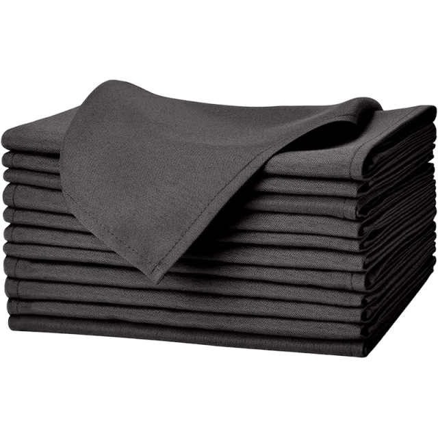 Cloth Napkin