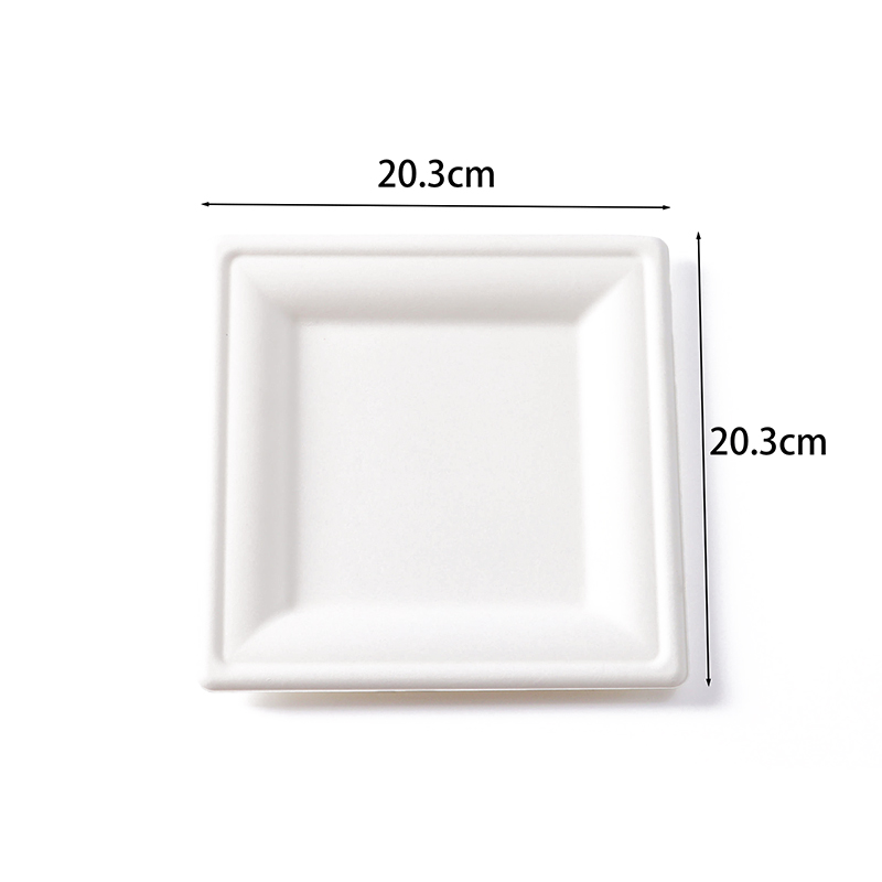 8 pulgadas cuadrados de bagazo placas desechables