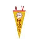 28inch Felt Pennants Banners Flag